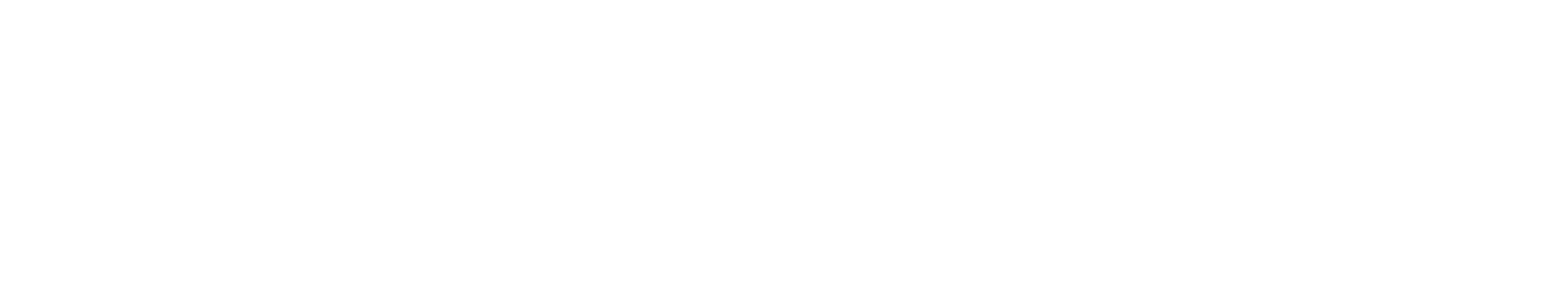 logo v1.4.3 white